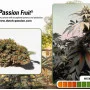 Cannabis seeds Passion Fruit® from Dutch Passion